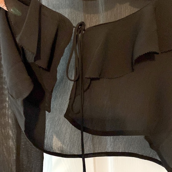 Dynamite Sheer Ruffled Crop Top - Picture 3 of 5